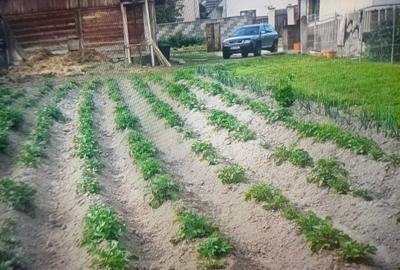 Casă cu 3 camere în Voitinel - 1