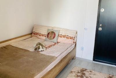 Garsoniera-Etaj 1/4-Bloc NOU 2022–Drumul Cretestilor, Aparatorii Patriei - 4