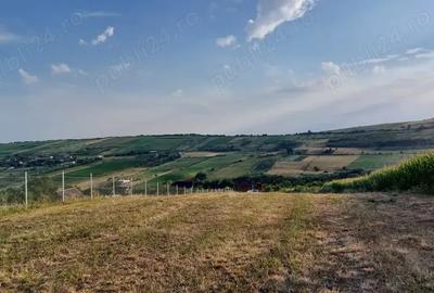 Teren în Nord - 5