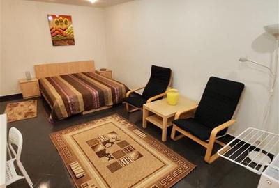 Garsonieră decomandată, mobilată în Tei - 2