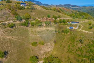 Teren extravilan 6,014mp | Holbav | BRASOV | COMISION 0| - 8