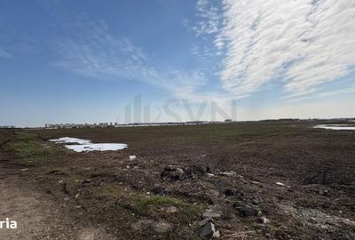 Spațiu comercial, în Tunari - 3