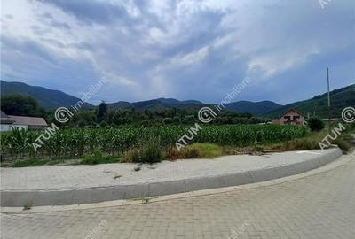 De vanzare 733 mp in Boita Sibiu - 5