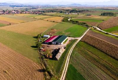 Teren de 18000 mp, în Rotbav - 7