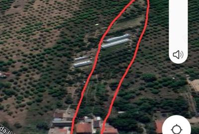 Casa cu teren la 2 km de centru. variante schimb Casa cu teren la 2 km de centru. variante schimb - 1