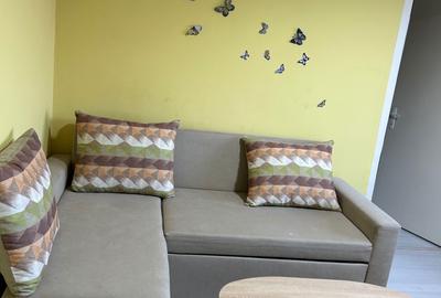 Apartament cu 2 camere nedecomandat în Central - 4