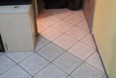 Garsoniera practica, 12 mp, etaj 2, ideal pentru investitie - Iosefin-Sagului - 3