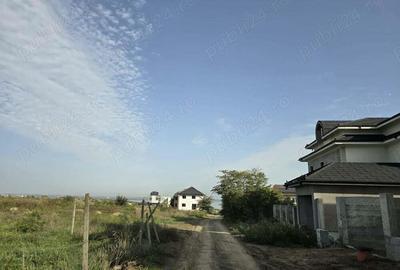 Teren de vanzare in Palazu Mare - 2