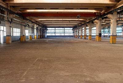 Hala industriala  InCity (3000 kw)+ birouri, Tatarasi - COMISION 0% - 7