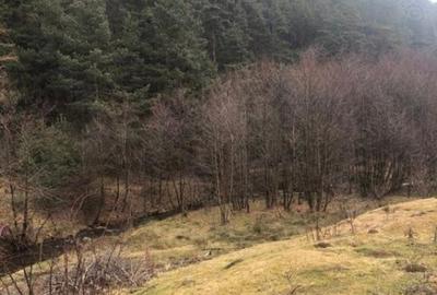 Case de vacanta zona Rasinari - 8