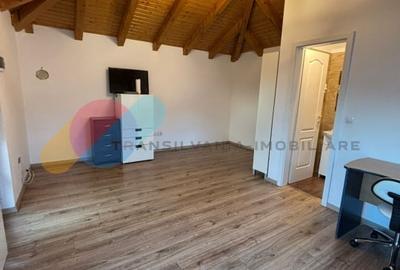 Garsoniera 25 mp cu terasa si parcare | mini-casuta intr-o curte comuna Garsoniera 25 mp cu terasa si parcare | mini-casuta intr-o curte comuna - 2