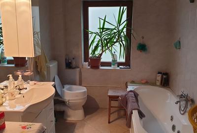 Casa Bolintin Vale - zona extrem de linistita, curte mare - 7