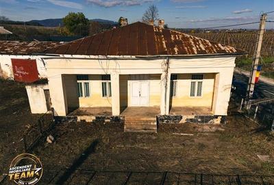 FILM! Casa boieresca autentica,domeniu de 4.000 mp intravilan,in podgoriile Odob - 10