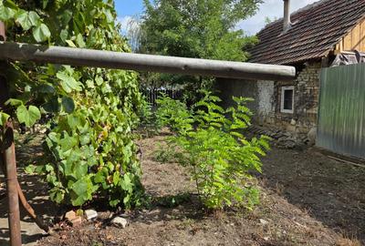 Casa de vanzare? Tomnatic Jud Timi?. - 5