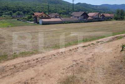 Teren de 548 mp, în Central - 4
