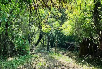 Casa cu 4 camere de vanzare pe str. Campu Negru, Sighet. Casa cu 4 camere de vanzare pe str. Campu Negru, Sighet. - 5