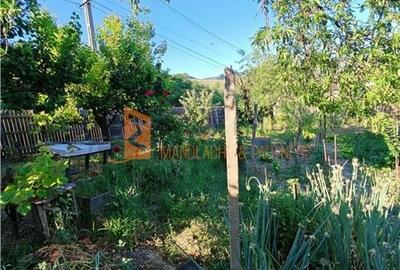 EXCLUSIVITATE! Casa+teren si cabana de lemn zona Naeni - 23