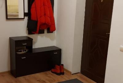Inchiriere apartament 2 camere 1 Decembrie - Ozana - 3