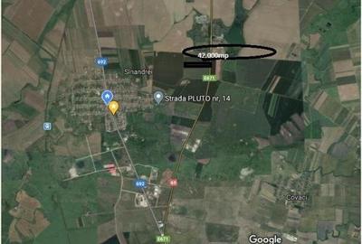 Sinandrei Teren extravilan 42.000 mp - 2