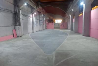 Spatii depozitare /productie  500 / 275/108 85/54 mp Jilava  Progresul - 2
