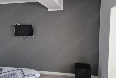 Inchiriere apartament 2 camere Ciuperca - 3