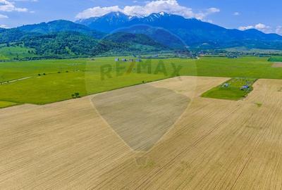 Teren agricol extravilan de 12300 mp, în Glăjărie - 7