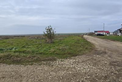 Agigea  Teren cu utilitatii 1 ha cu 500 ml deschidere la strada Crinului - 6