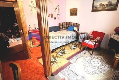 CASA  comuna ALEXANDRU cel BUN - VIISOARA - 6