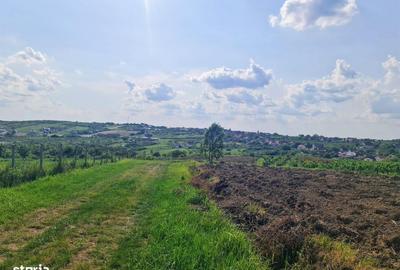 Teren de 1100 mp, în Paleu - 5