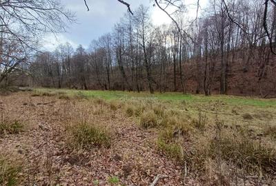 Resita, Teren Drept Intravilan, Langa Prau si Drum, Parcelab - 13