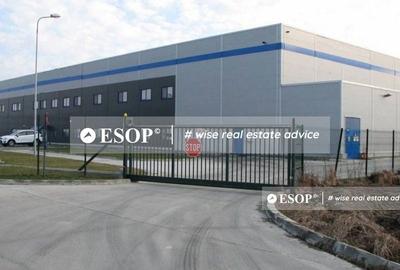 Spațiu comercial, de 5,000 mp, în Corbii Mari - 2