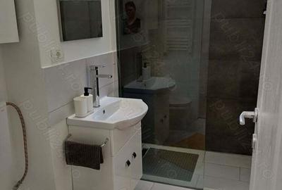 Inchiriez si pe termen scurt, apartament 2 camere, parter, Zona Medicina - 9