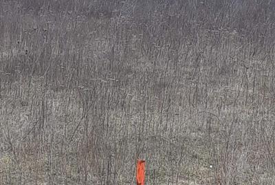 Spațiu comercial, în Popoveni - 6