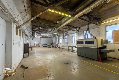 Spațiu comercial, de 1,341 mp, în Valea Crișului - 6