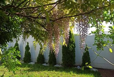 Casă individuală cu 5 camere cu Canalizare în Corbeanca - 13