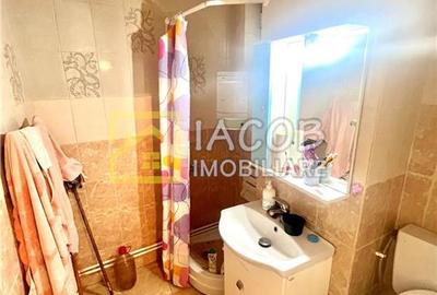 Apartament cu 3 camere decomandat în Alecu Russo - 9