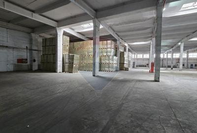 Spațiu industrial, de 6,500 mp, în Nord - 21