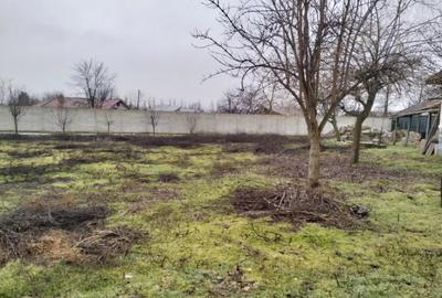 Teren de 1310 mp, în Meri - 13