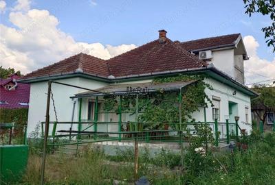 Casă cu 3 camere cu Teren 1567 Mp în Baia de Criș - 4