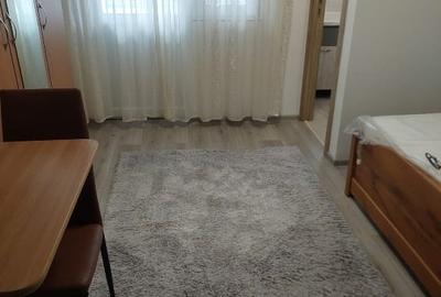 Garsonieră semidecomandată, mobilată în Frumoasa - 2