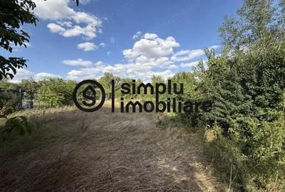 Casă cu 3 camere cu Teren 1676 Mp în Malu Mare - 3