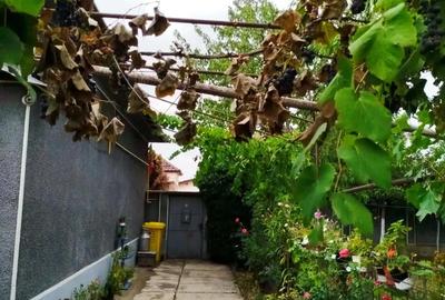 Casă cu 4 camere cu Teren 720 Mp în Central - 7
