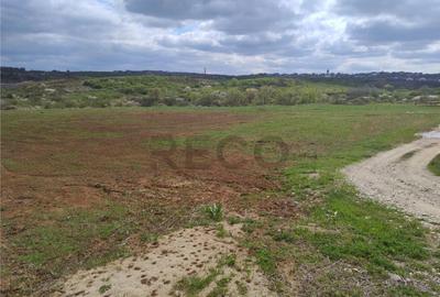 RECO Teren intravilan, Paleu - 2