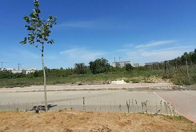 Teren intravilan 13800 mp, dubla deschidere de 65ml, bd. Pallady - 2