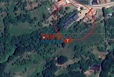 Complex turistic cu 5 cabane de vânzare în comuna Pianu Complex turistic cu 5 cabane de vânzare în comuna Pianu - 8