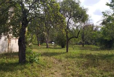 Vand casa de vacanta pe Valea Buzaului - 3