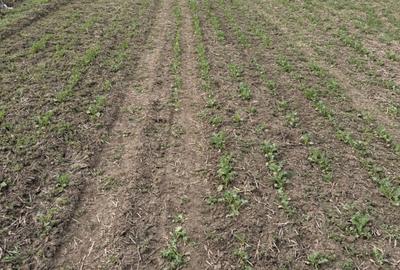 Spațiu comercial, în Vasilați - 4