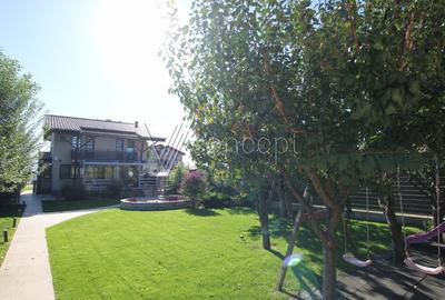 Vila P+1+M | 1000 mp teren - 10