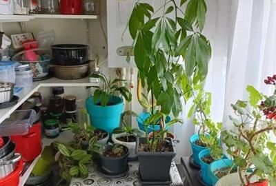 Apartament 3 camere decomandate zona Inel 2 - 8