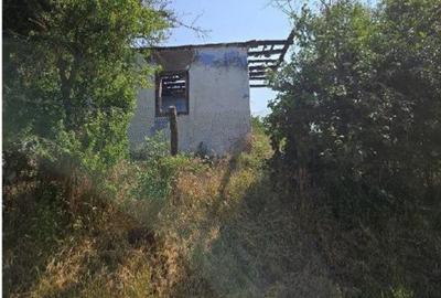 Casă cu 1 camere cu Teren 1200 Mp în Cucuruzu - 8